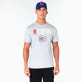LA Clippers NBA Grey T-Shirt-Benirox