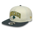 Chicago Bulls NBA Metallic Logo Cream 19TWENTY Adjustable Cap-Benirox